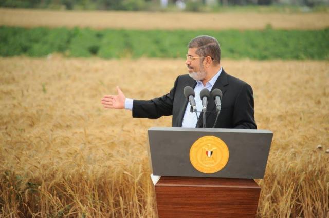 Morsi:Wheat